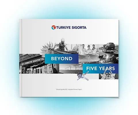 2025 Integrated Annual Report