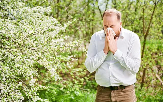 Alerjik Rinit (Saman Nezlesi) Nedir? Belirtileri Nelerdir?
